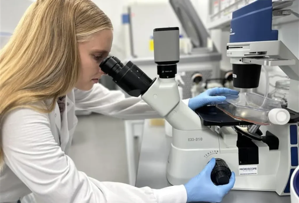 Scientist analyzing cell samples using a laboratory microscope for functional biology assays