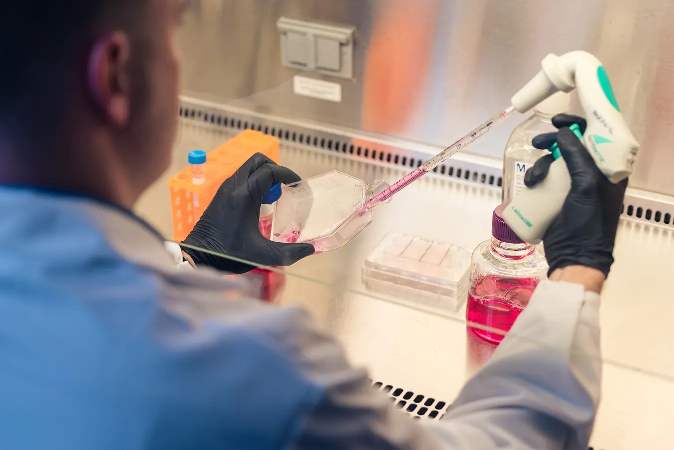 Scientist using mechanical pipettor to perform protein engineering services.