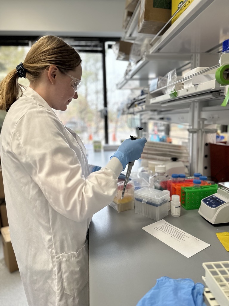 in vivo antibody discovery immunization workflow