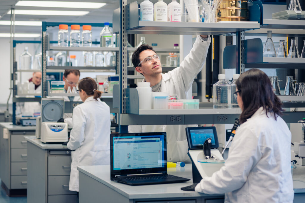 antibody discovery laboratory analysis