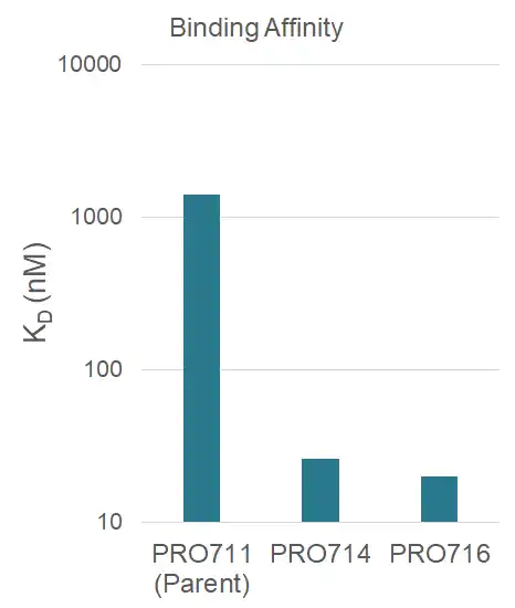 Yeast display improved binding potency of p95 antibody